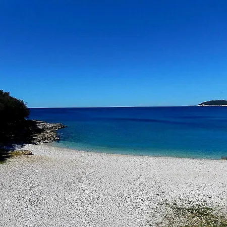 Mon Cheri-located In A Quiet Neighbourhood Near Beaches Free Parking *